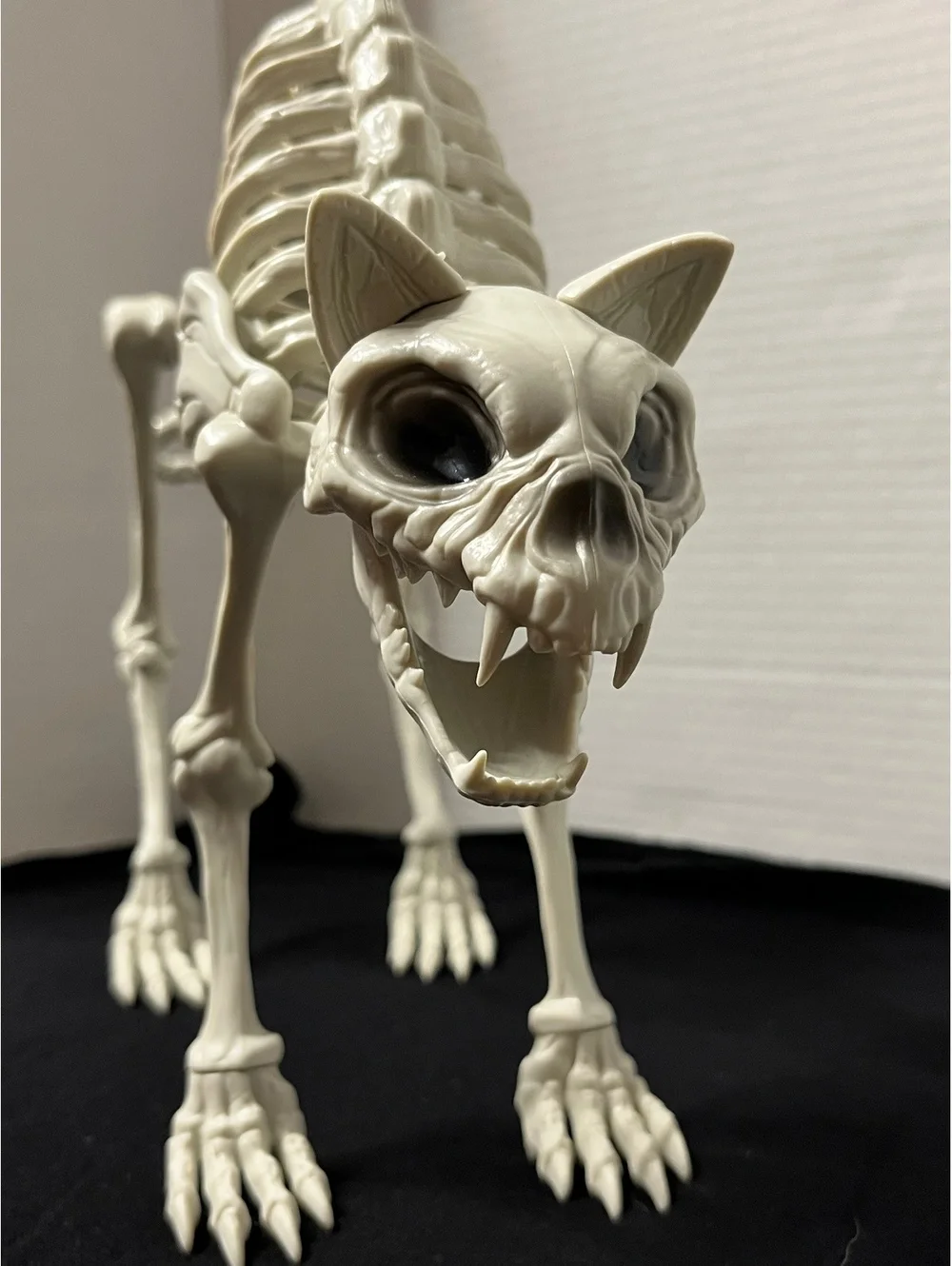 Spooky Cat Skeleton Decor - Perfect for Halloween Vibes